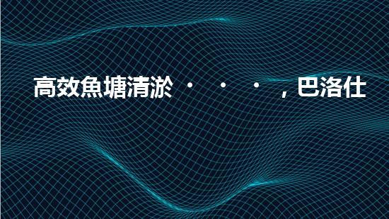 高效魚塘清淤，巴洛仕設(shè)備助力生態(tài)養(yǎng)殖